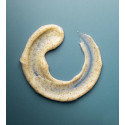 Peeling de pies menta-jengibre | Distribuidor oficial de Kaeso
