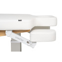 Camilla Troch Smart 4 motores, madera y LED RGB